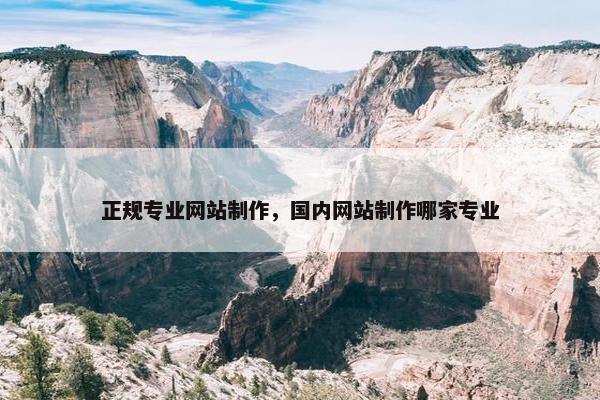 正规专业网站制作，国内网站制作哪家专业