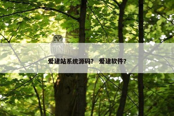 爱建站系统源码？ 爱建软件？