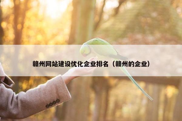 赣州网站建设优化企业排名（赣州的企业）