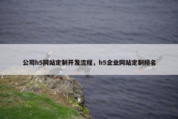 公司h5网站定制开发流程，h5企业网站定制排名