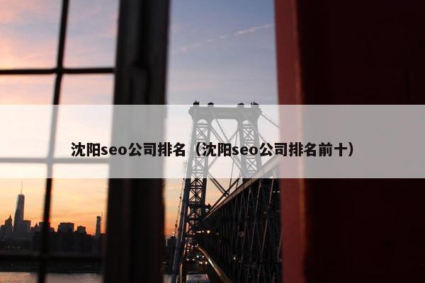 沈阳seo公司排名（沈阳seo公司排名前十）
