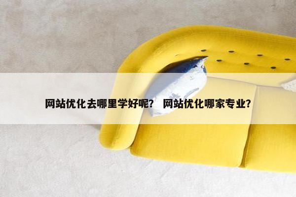 网站优化去哪里学好呢？ 网站优化哪家专业？