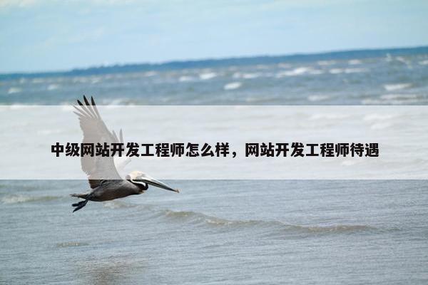 中级网站开发工程师怎么样，网站开发工程师待遇