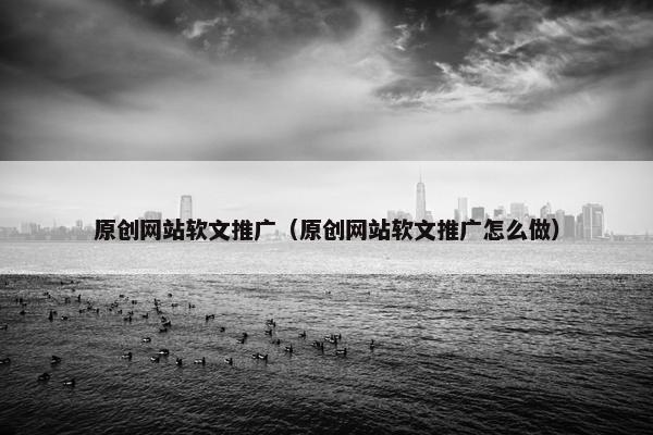 原创网站软文推广（原创网站软文推广怎么做）