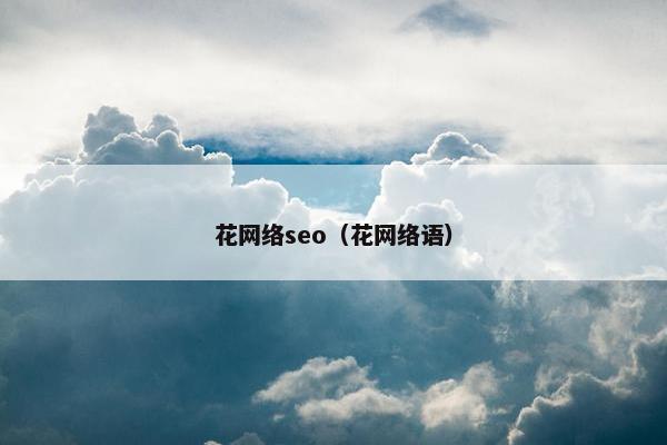 花网络seo（花网络语）