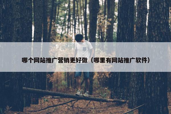 哪个网站推广营销更好做（哪里有网站推广软件）