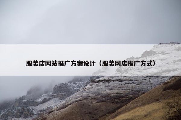 服装店网站推广方案设计（服装网店推广方式）