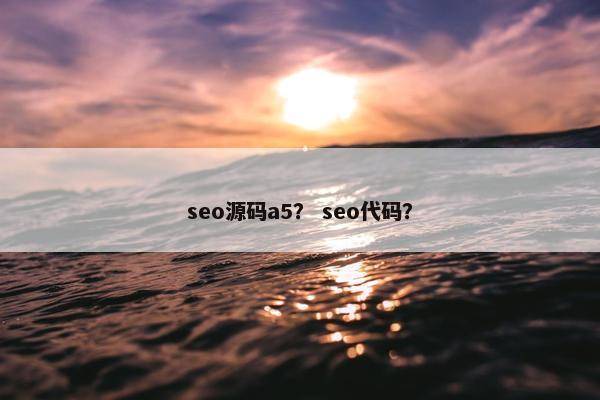 seo源码a5？ seo代码？
