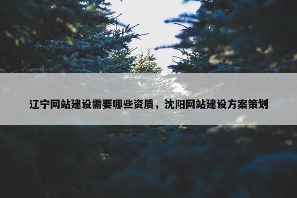 辽宁网站建设需要哪些资质，沈阳网站建设方案策划