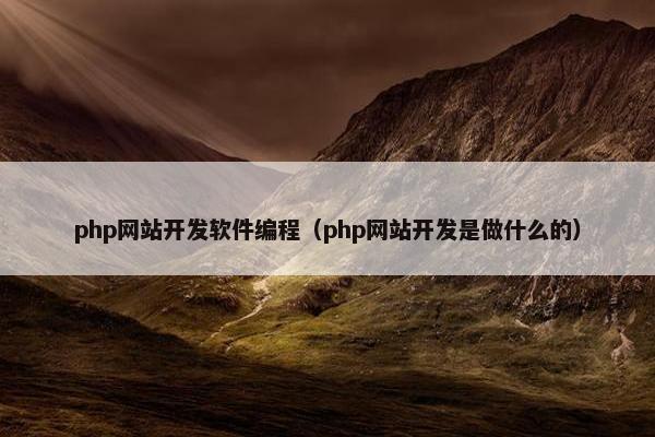 php网站开发软件编程（php网站开发是做什么的）