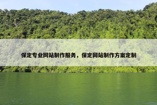 保定专业网站制作服务，保定网站制作方案定制
