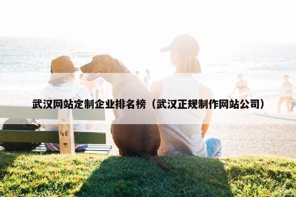 武汉网站定制企业排名榜（武汉正规制作网站公司）
