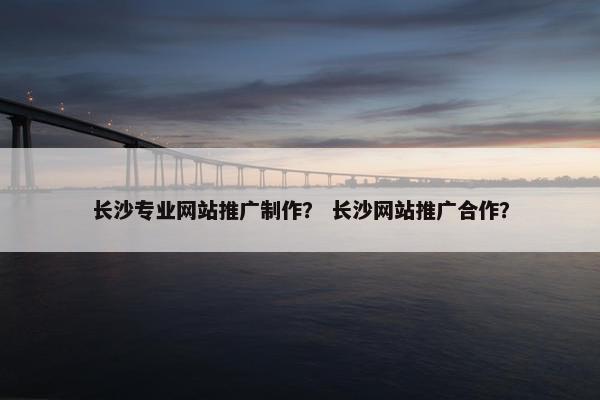 长沙专业网站推广制作？ 长沙网站推广合作？