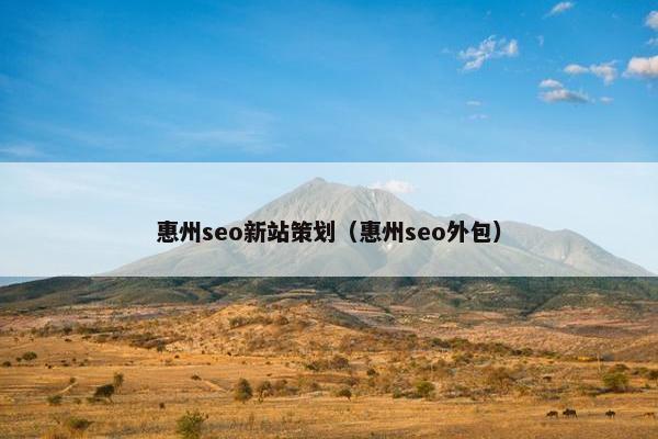 惠州seo新站策划（惠州seo外包）