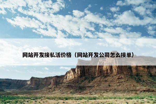 网站开发接私活价格（网站开发公司怎么接单）