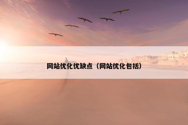 网站优化优缺点（网站优化包括）