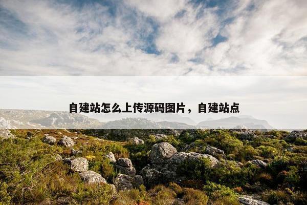 自建站怎么上传源码图片，自建站点