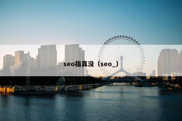 seo指真没（seo_）