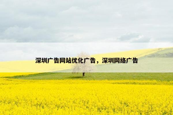 深圳广告网站优化广告，深圳网络广告