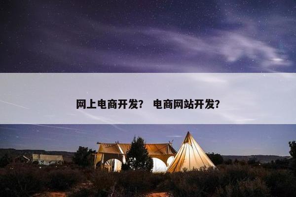 网上电商开发？ 电商网站开发？