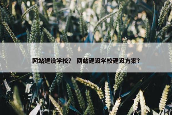 网站建设学校？ 网站建设学校建设方案？