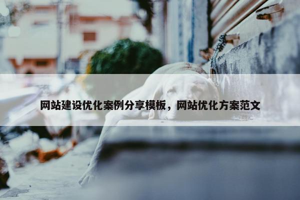网站建设优化案例分享模板，网站优化方案范文