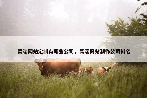 高端网站定制有哪些公司，高端网站制作公司排名