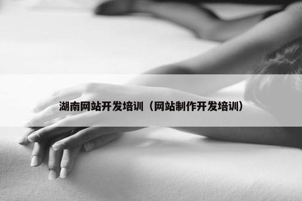 湖南网站开发培训（网站制作开发培训）