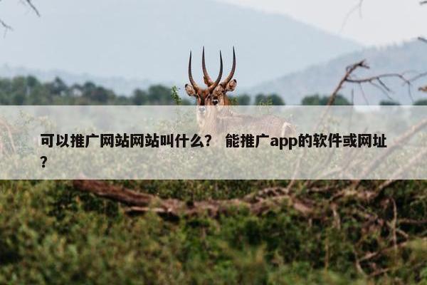 可以推广网站网站叫什么？ 能推广app的软件或网址？