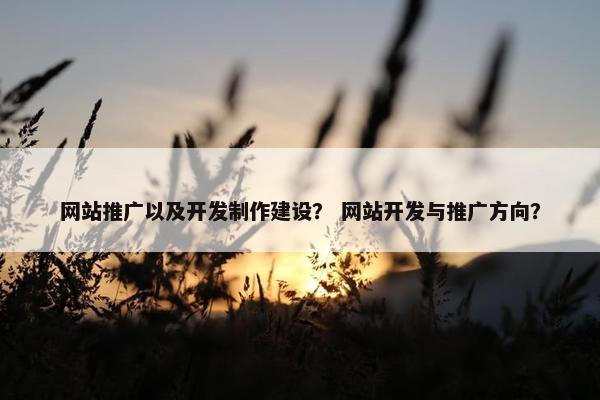 网站推广以及开发制作建设？ 网站开发与推广方向？