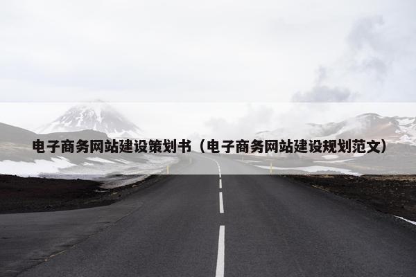 电子商务网站建设策划书（电子商务网站建设规划范文）