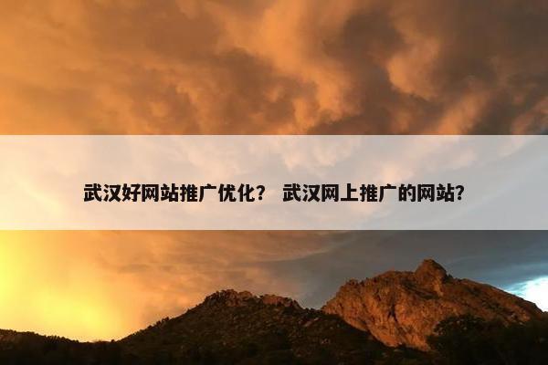 武汉好网站推广优化？ 武汉网上推广的网站？