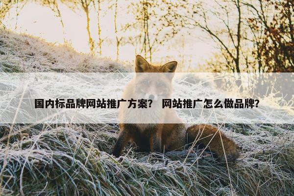 国内标品牌网站推广方案？ 网站推广怎么做品牌？