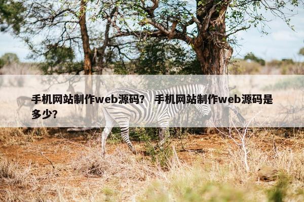 手机网站制作web源码？ 手机网站制作web源码是多少？