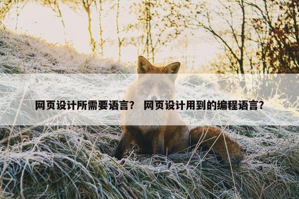 网页设计所需要语言？ 网页设计用到的编程语言？