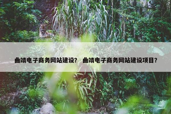 曲靖电子商务网站建设？ 曲靖电子商务网站建设项目？