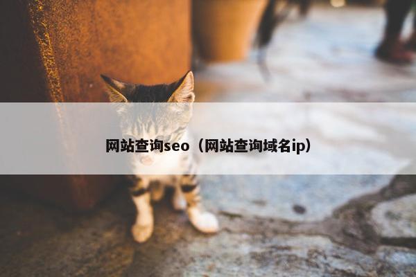 网站查询seo（网站查询域名ip）