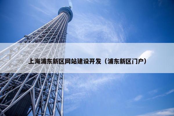上海浦东新区网站建设开发（浦东新区门户）