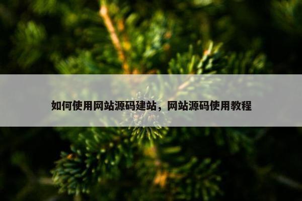 如何使用网站源码建站，网站源码使用教程