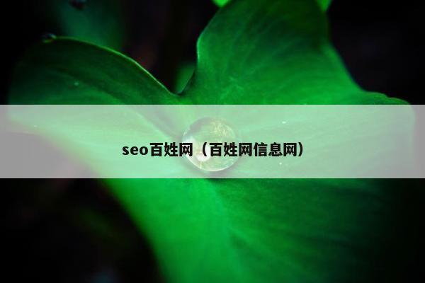 seo百姓网（百姓网信息网）