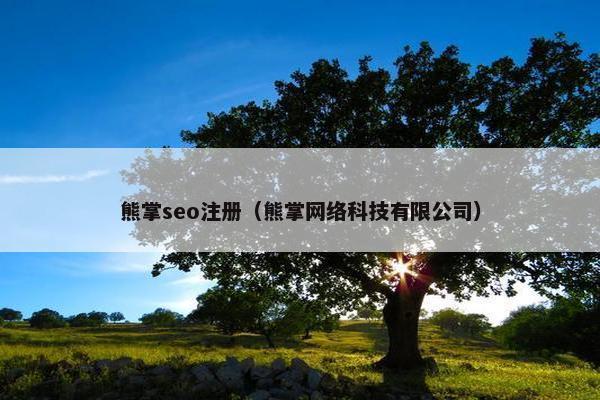 熊掌seo注册（熊掌网络科技有限公司）