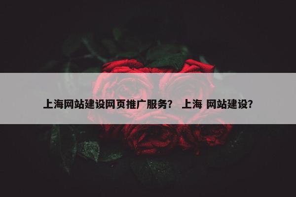 上海网站建设网页推广服务？ 上海 网站建设？