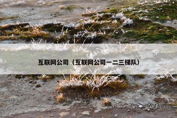 互联网公司（互联网公司一二三梯队）
