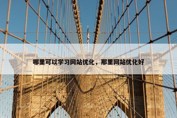 哪里可以学习网站优化，那里网站优化好
