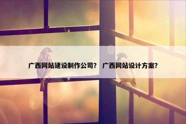 广西网站建设制作公司？ 广西网站设计方案？