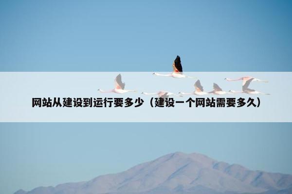 网站从建设到运行要多少（建设一个网站需要多久）