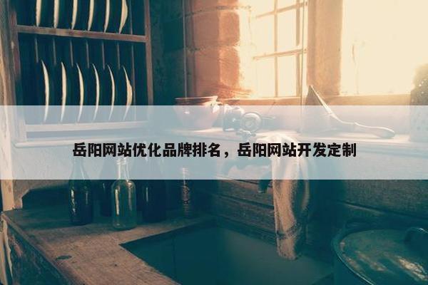 岳阳网站优化品牌排名，岳阳网站开发定制