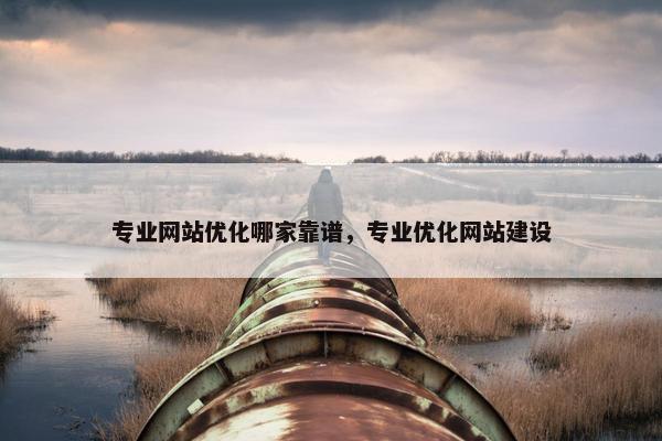专业网站优化哪家靠谱，专业优化网站建设