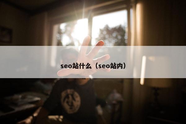 seo站什么（seo站内）
