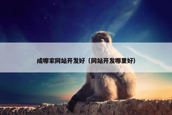 成哪家网站开发好（网站开发哪里好）